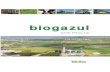 GHID PRACTIC-biogazul