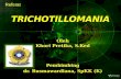 PPT Refrat Trichotillomania