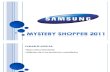 Manual Mystery Shopper Samsung 2011 Barquisimeto