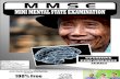Mini Mental State Examination (MMSE)