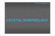 Ch 06 Crystal Morphology