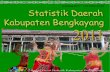 Statistik Daerah Kabupaten Bengkayang 2011