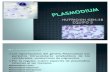 Plasmodium Generalidades[1]
