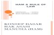 HAM & RULE OF LAW