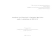 Analysis of Corporate Valuation Theories and a Valuation of ISS