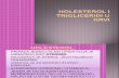 Holesterol i Trigliceridi u Krvi