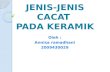 JENIS-JENIS CACAT