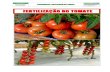 Fertilização do Tomate