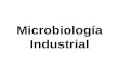 1. Micro Industrial[1]