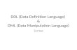 DDL + DML Syntax Database