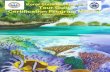 Community Centred Conservation (C3) Koror State Government Tour Guide Certification Program Manual