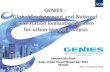 GENIES - Global Environment and National Information Evaluation System for urban analysis