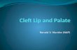 Cleft Lip and Palate-NAP