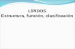 Estructura y clasificación de Lípidos 1