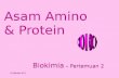 Asam Amino & Protein