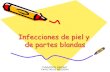 Infecciones de Piel y Partes Blandas.pps