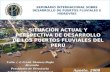 13 Sit Act Pers Des Puert Fluv Peru