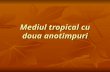 Mediul Tropical Cu Doua Anotimpuri