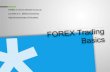 Introduction to FOREX Trading Basics