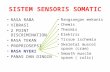 Sistem Sensoris Somatic