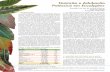 Manual RR de Adubação de Eucalyptus - Potassio