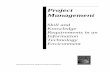 BSPM ISACA Project Management - Skills and Knowledge Requirements in an IT Environment 2002
