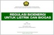 Regulasi Bioenergi Untuk Listrik