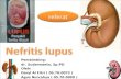 Referat Nefritis Lupus