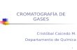 CROMATOGRAFÍA DE GASES 2