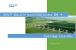 SAP BusinessObjects BI4 Sizing Guide.0 Sizing Companion Guide