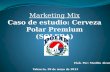 Presentación marketing mix caso polar (solera)