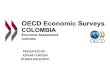 Analysis OECD Survey: Colombia's Acces