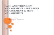 Cash and treasury  -debt management