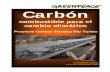 Carbon: Proyecto Central Térmica Río Turbio