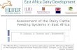 Assessment of the dairy cattle feeding systems in East Africa