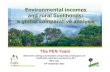 Environmental incomes and rural livelihoods: a global comparative analysis