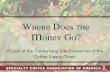 Where Does The Money Go Ric Nicaragua 2009pdf