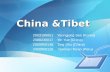 [Investigacion] China Tibet Issue