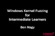 Windows Kernel Fuzzing for Intermediate Learners - Ben Nagy, COSEINC