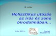 Holisztikus utazás Gyulai Zsuzsanna 2011 -  II rész