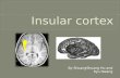 Shuang shuang&q insular cortex