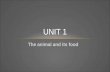 Unit 1   animal nutrition