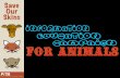 Information Education Campaign for Animals
