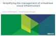 Simplifying the management of virtualised  cloud infrastructure   vw