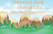Harmful and Usage of microorganism