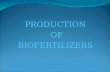 Production of Biofertilizers