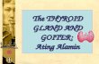 The Thyroid gland and goiter: Ating alamin - HERO: Health ...The