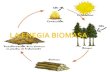 La energia biomasa (ultimao)