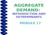 Module 17 aggregate demand