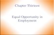 Equal Opportunity in Employment